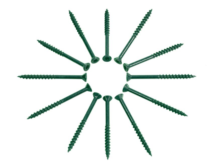 Painted Stainless Screws