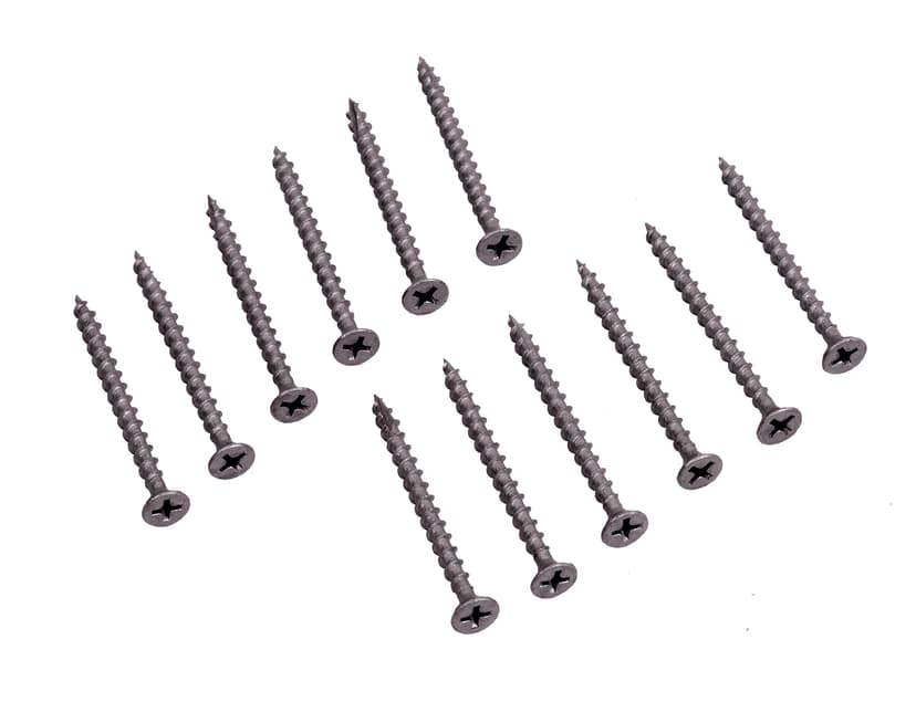 Painted Stainless Screws